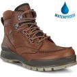Ecco Men's Track 25 GTX Waterproof Boots - Bison Bison