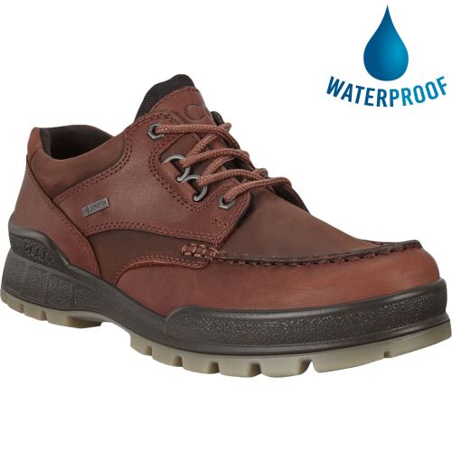 Bold catch up Reproduce Ecco Shoes Mens Track 25 GTX Waterproof Walking Shoes - Bison Brown