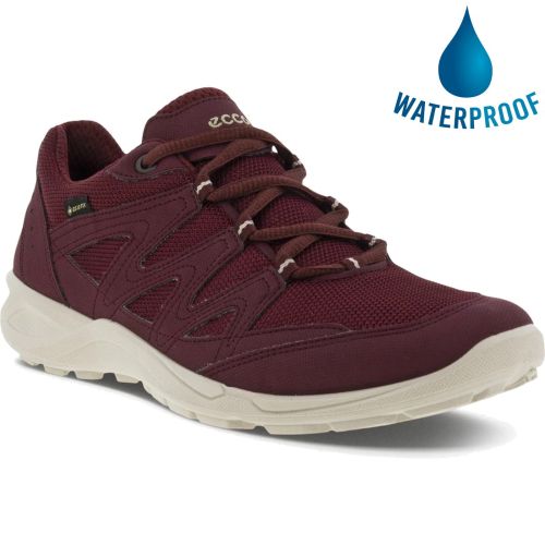billede myg stamme Ecco Shoes Womens Terracruise LT GTX Waterproof Trainers - Morillo Brown
