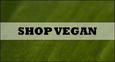 Shop Vegan Etnies