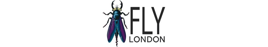 Fly London Logo
