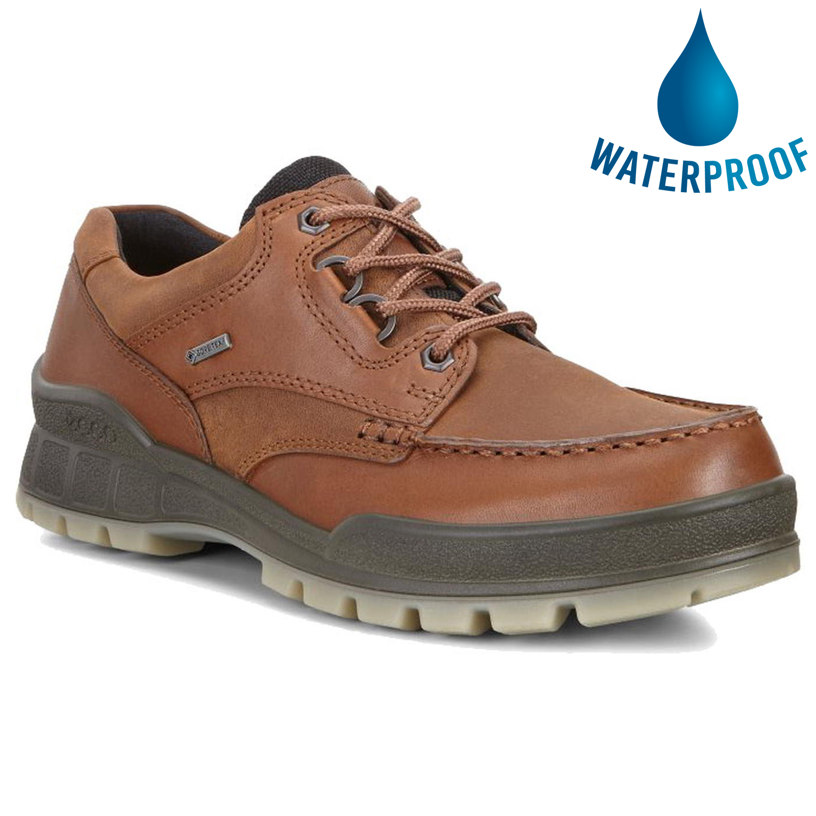 Ecco Shoes Mens Track 25 GTX Waterproof Walking - Bison Brown 2951